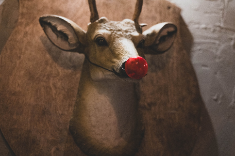 Deer head mounted on the wall with a red ball at the end of its nose.