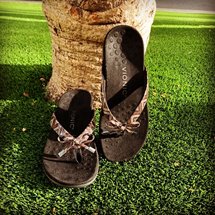 Black Vionic slippers propped up against the base of a palm tree