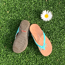 Tan Vionic slippers with aqua blue straps next to a white daisy