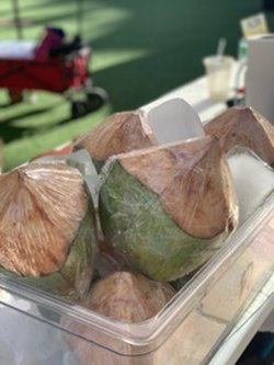 Coconuts in a clear container with ice at the farmers market in Waikiki.