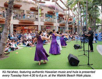 hula dancers wearing purple performing on a green grass lawn and a person playing ukulele behind them