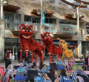 Lunar New Year Pole Jumping Waikiki